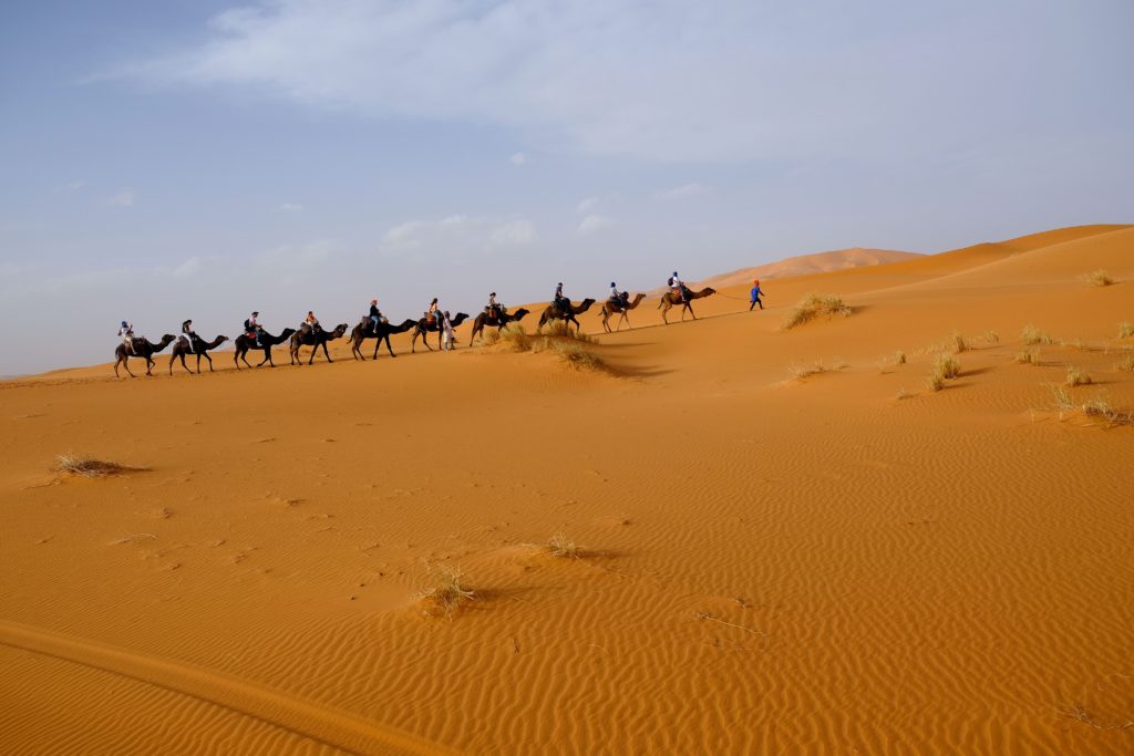 Camel trek from Tangier